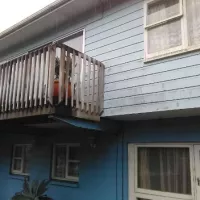 Debbie's Quiet Dry Home